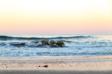 Sunrise at Natural Bridges @Santa Cruz, CA.