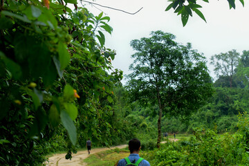 adventure in nature and flowers
