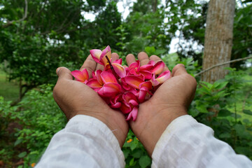 adventure in nature and flowers