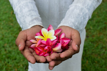 adventure in nature and flowers