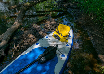 view from stand up padlle board on the bank of a small wild river, view of green forest river,...