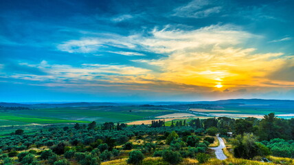 Dramatic sunset clouds over the olive grove and agricultural fields of the biblical Ayalon Valley,...