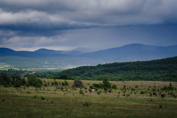 Obraz premium Malownicza zielona dolina wśród gór przed burzą.