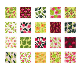 leafs and plants tropical patterns backgrounds