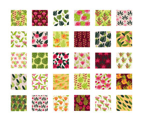 leafs and plants tropical patterns backgrounds