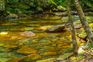 A waterfall in a green oasis in the topical rain forest of Colombia.