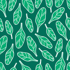 White contour spinach leaves seamless pattern on green background.