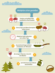 Safe consumption of wild mushrooms (deutsch: Waldpilze sicher genießen). 
infographics with color pictures in a flat style.