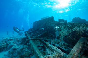 Sunken ship and diver