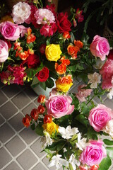 玄関に飾った薔薇の花