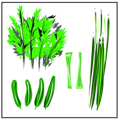 Green onions.Cucumbers.Dill. Greenery. Cabbage. Celery. Isolated images of vegetables on a white background from a set about proper nutrition, veganism and vegetarianism. You can move and rotate.