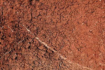 Stratigraphic section of soil with layers and grass roots.