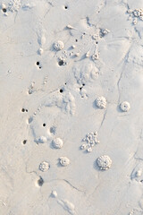 Crab nests formed on white sand, Koh rong samloem, Cambodia.