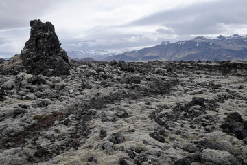 Desolate landscape on Iceland with lava field covered with moss from volcano eruption