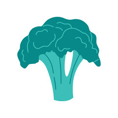 Broccoli concept, fresh cabbage in flat style. Graphic elements of vegetarian food. Vector illustration on isolated white background.