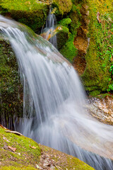 Fototapeta na wymiar Waterfall, Mountain Forest Footpath, Trek to Annapurna Base Camp, Annapurna Conservation Area, Himalaya, Nepal, Asia