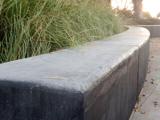 Modern landscaping design drought tolerant heat resistant plants