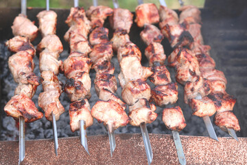 Cooking meat on skewers in barbecue on picnic