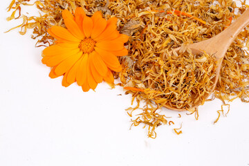 Fresh and dried calendula officinalis herbal flowers