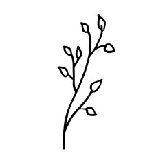 Stylized leaf of a tree.Botanical vector illustration.Drawing ink in the style of Doodle. Isolated object on a white background. Decorative elements for spring and summer design, wedding.