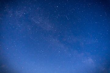 Stars in the night sky