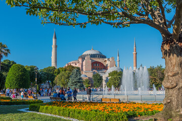 Fototapeta na wymiar Blue Mosque in Istanbul, Turkey.