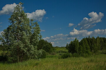 Russian plain landscape, Tula region of Russia.