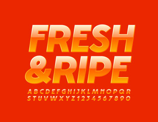 Vector juicy sign Fresh & Ripe with Orange siny Font. Modern Alphabet Letters and Numbers