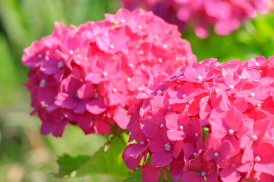 高塔山公園images Browse 230 Stock Photos Vectors And Video Adobe Stock