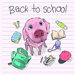 Back to school Dog - 360427409