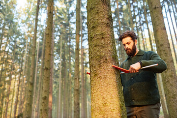 Foresters when determining the trunk diameter