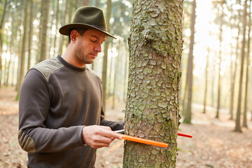 Forester measures the diameter of tree trunk © Robert Kneschke