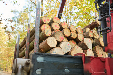 Long wood pile on the long wood cart © Robert Kneschke