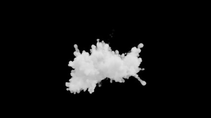 White dry ice smoke powder explosion fluid ink paint particles slow motion isolated on green background - Powered by Adobe
