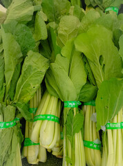 This is an image of mustard greens.