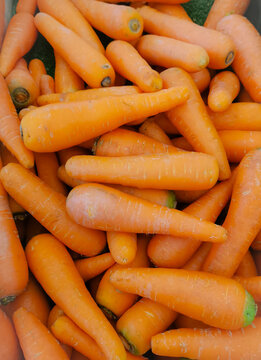This is an image of carrots.