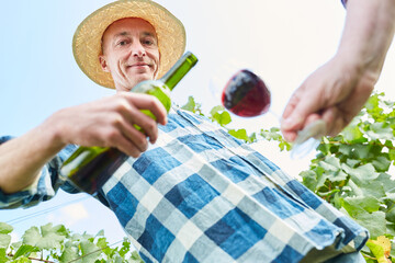 Winemaker pours red wine into a wine glass in the vineyard