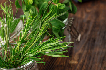 Rosemary branch in a glass cup close up