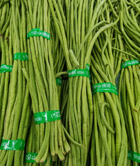 This is an image of long bean.