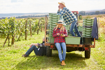 Group of harvest workers takes a break in the vineyard