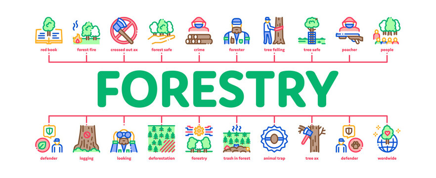 Forestry Lumberjack Minimal Infographic Web Banner Vector. Forestry Working Equipment And Tree Safe Fence, Animal And Forest Protection Illustration