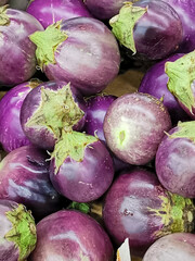 This is an image of  round eggplant.