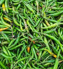 This is an image of green chilies.