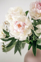 peonies on a light background