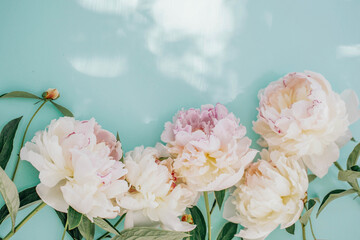 peonies on a mint background