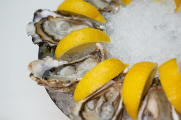 detailed macro close up top view food shot of delicious fresh shucked open oysters lying between lemon slices on a round cold ice tray