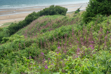 Ehemaliger Kriegsschauplatz am Omaha Beach