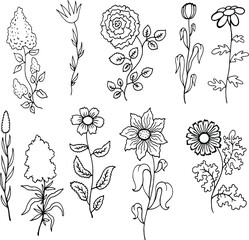 black and white set collection with flowers and plants coloring vector illustration
