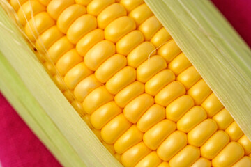 Corn cob.