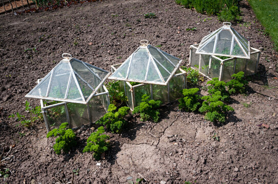 Garden cloches